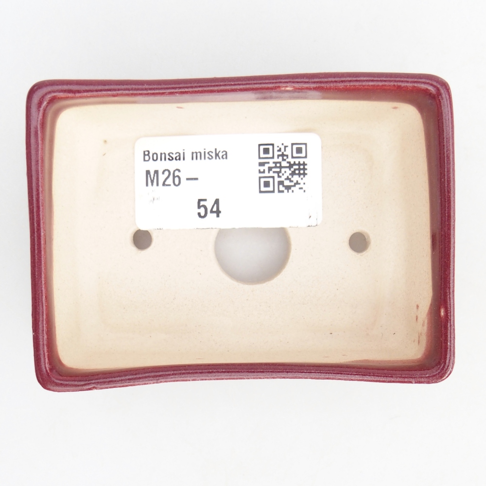 Mini cuenco bonsái 8 x 6 x 2,5 cm, burdeos