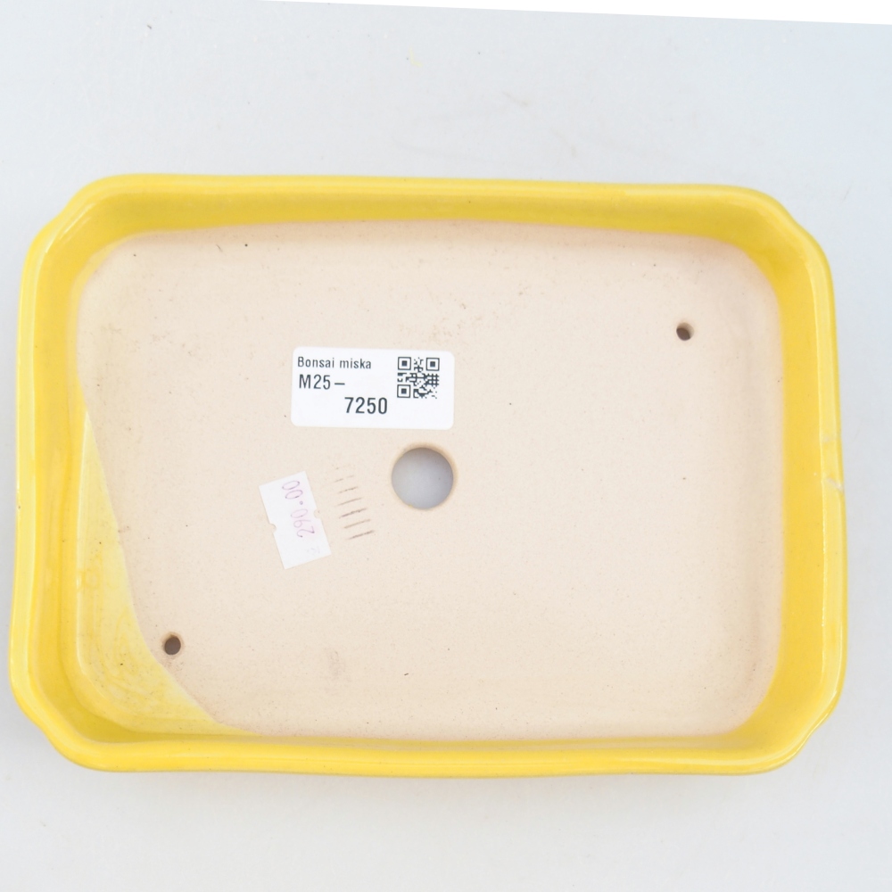 Cuenco bonsái de cerámica 18,5 x 13,5 x 3,5 cm, amarillo