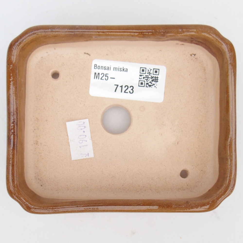 Cuenco bonsái de cerámica 11 x 9 x 3 cm, marrón