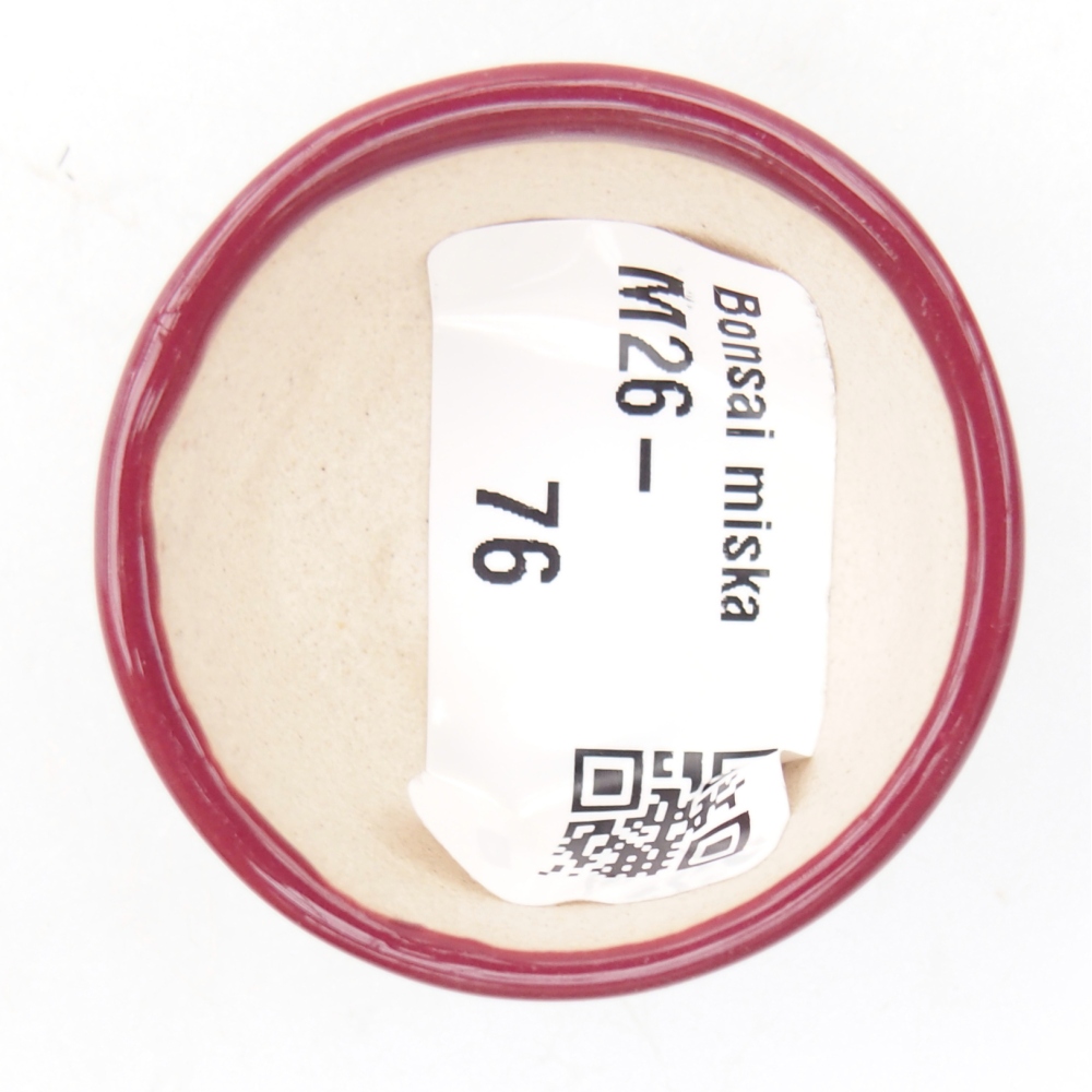 Cuenco mini bonsái 4 x 4 x 2 cm, burdeos