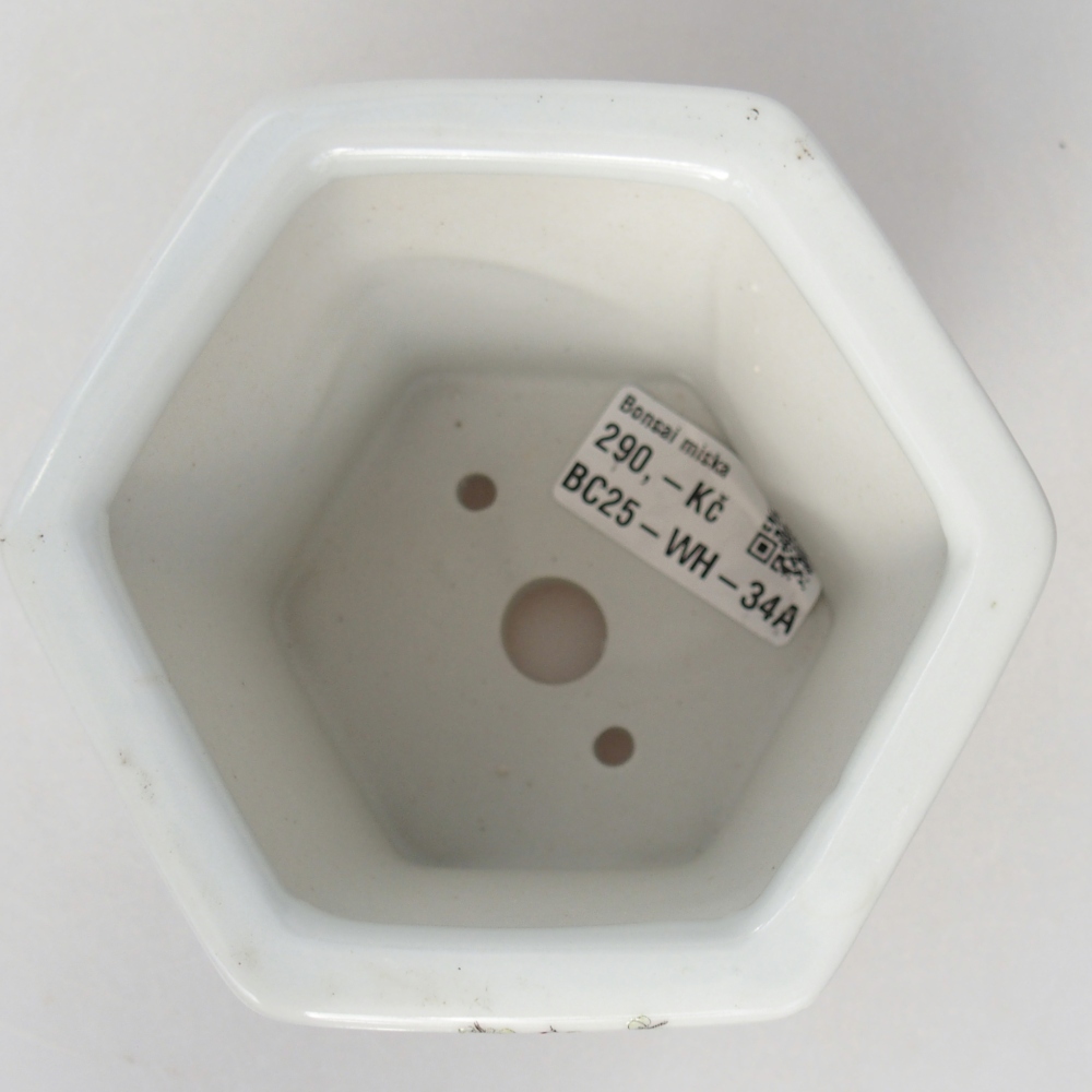 Cuenco bonsái de cerámica 10,5 x 9,5 x 9 cm, color blanco