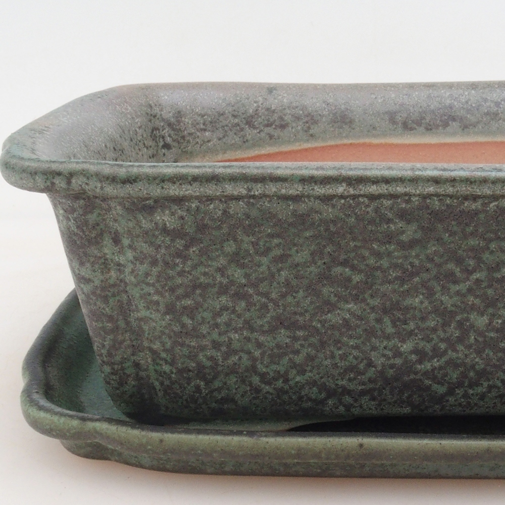 Bonsai cuenco + platillo H50 - verde