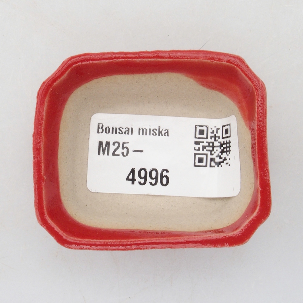 Mini cuenco bonsái 5 x 4,5 x 2 cm, color rojo