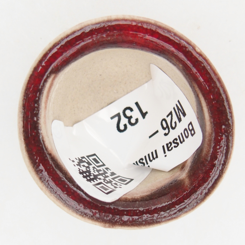 Cuenco mini bonsái 3,5 x 3,5 x 2,5 cm, color rojo
