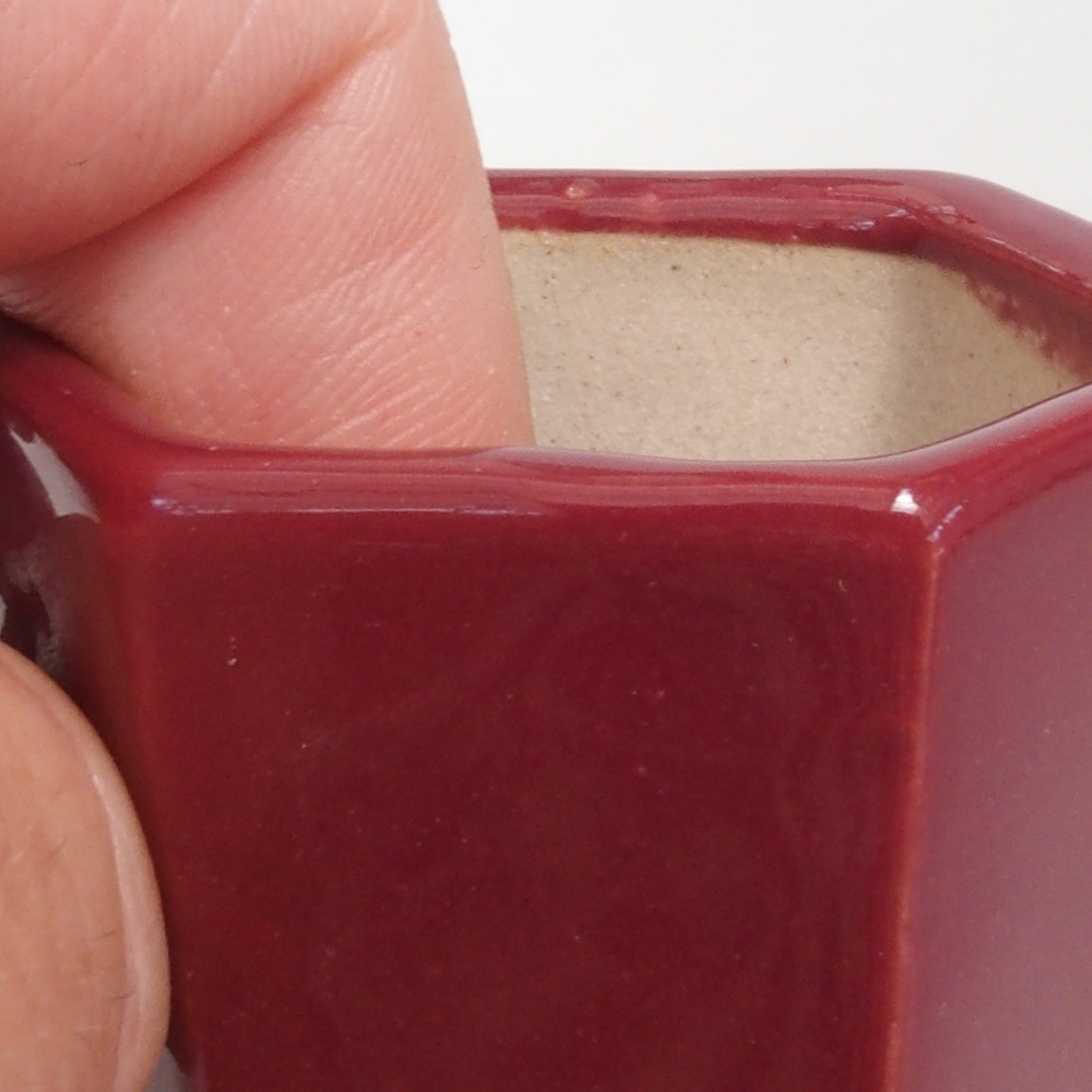 Cuenco mini bonsái 4,5 x 4 x 6 cm, burdeos