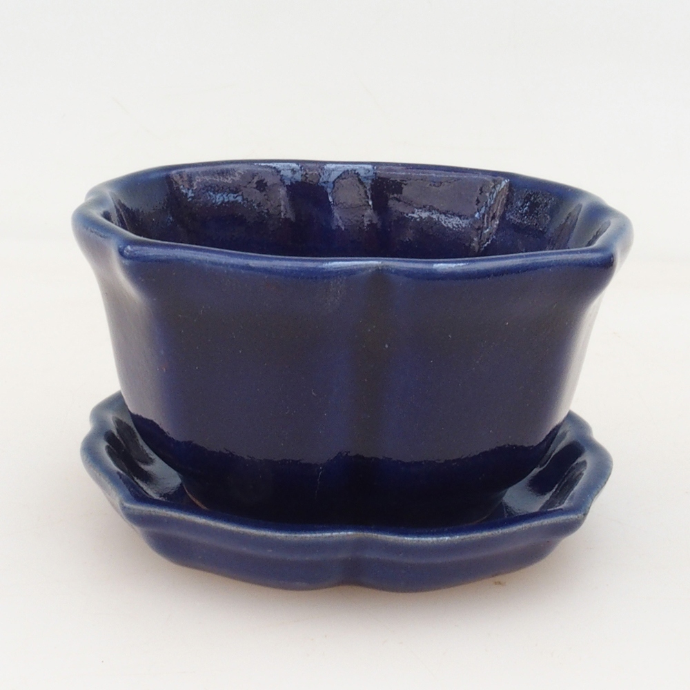 Bonsai cuenco + platillo H95 - azul