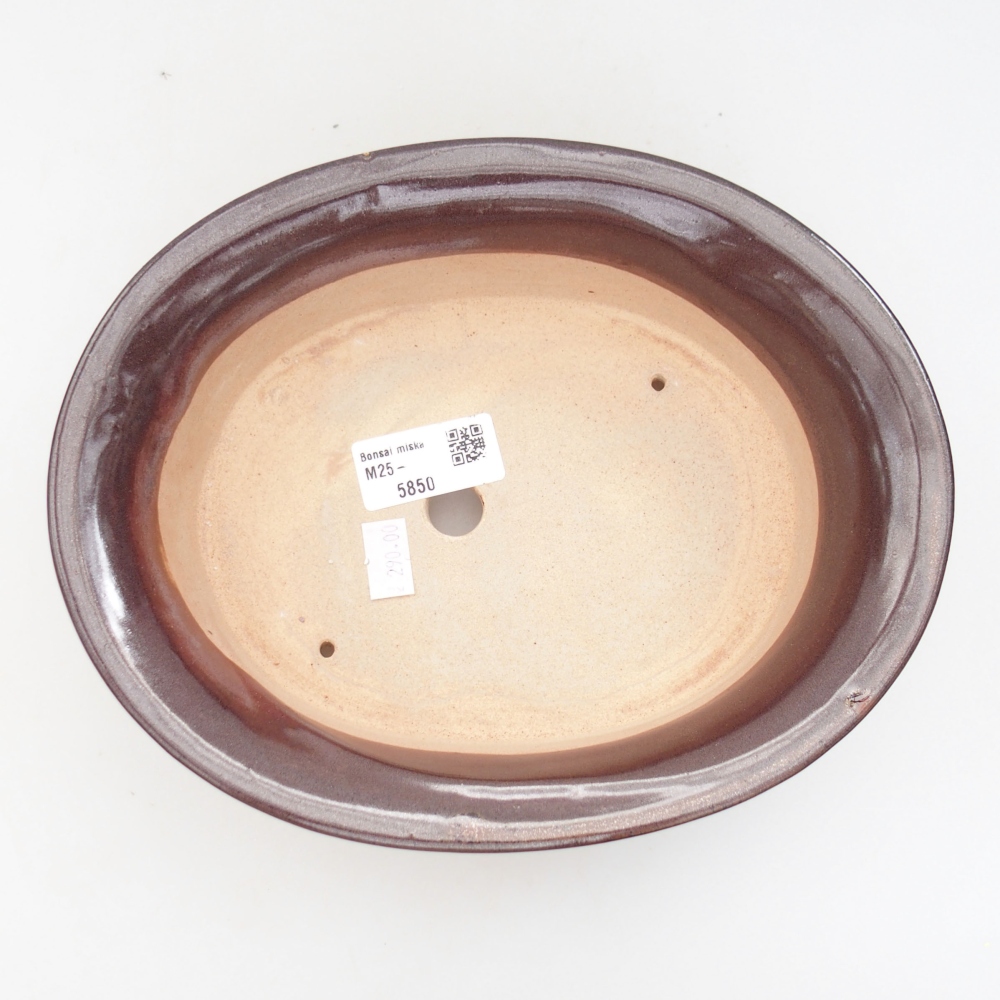 Cuenco bonsái de cerámica 22 x 17 x 5 cm, verde