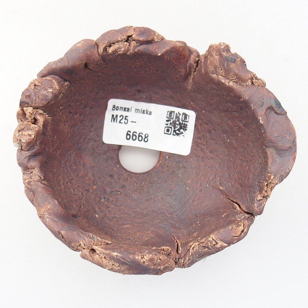 Concha de cerámica 10 x 9 x 5,5 cm , color marrón