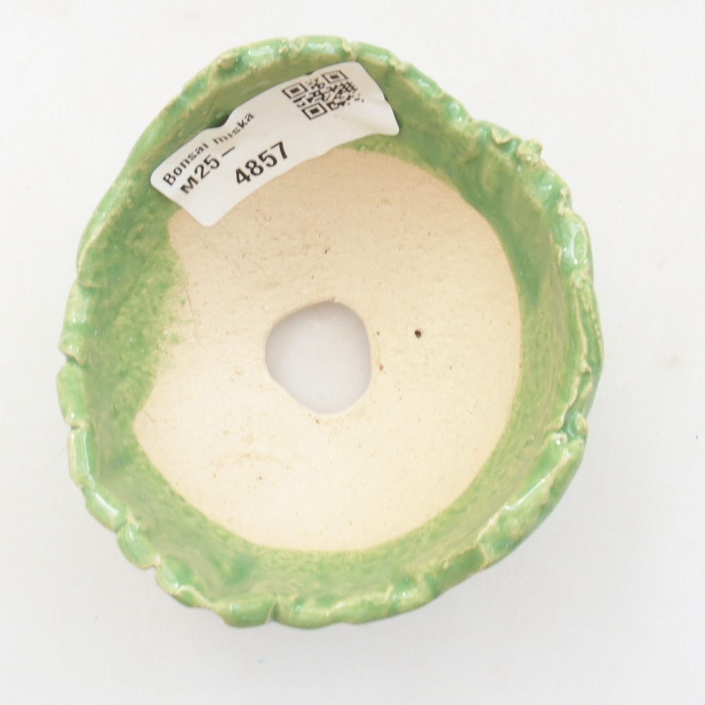 Concha de cerámica 7,5 x 7 x 5,5 cm , color verde