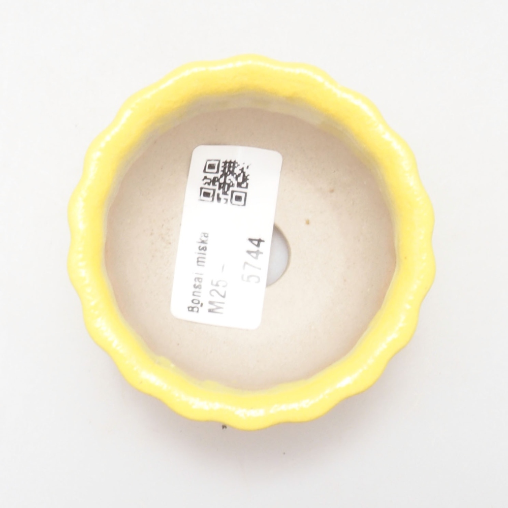 Cuenco bonsái de cerámica 7 x 3 x 3,5 cm, amarillo