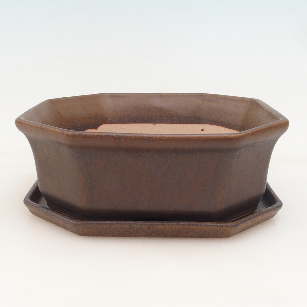 Cuenco bonsái + platillo H14 - marrón