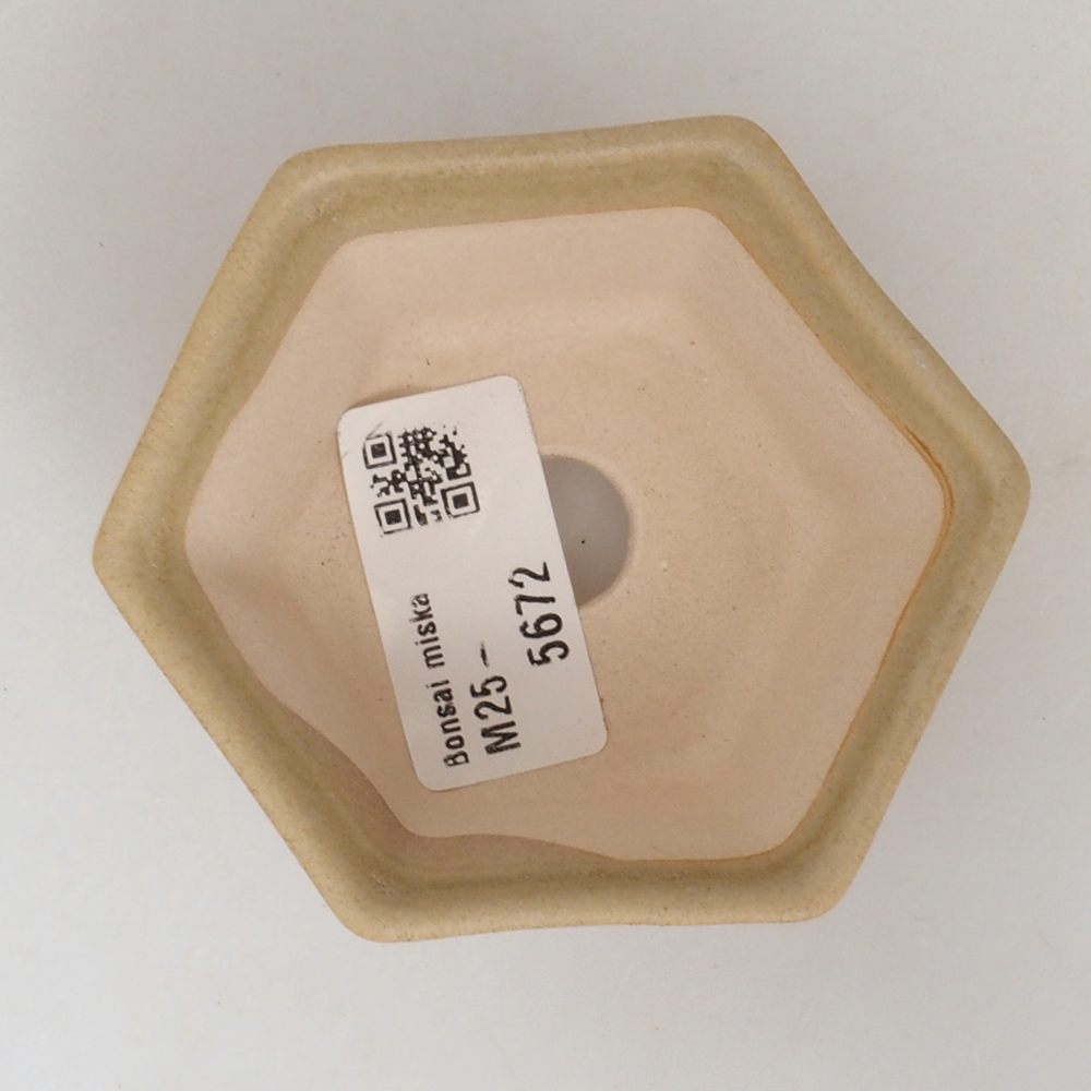 Mini cuenco bonsái 8 x 7 x 4 cm, marrón