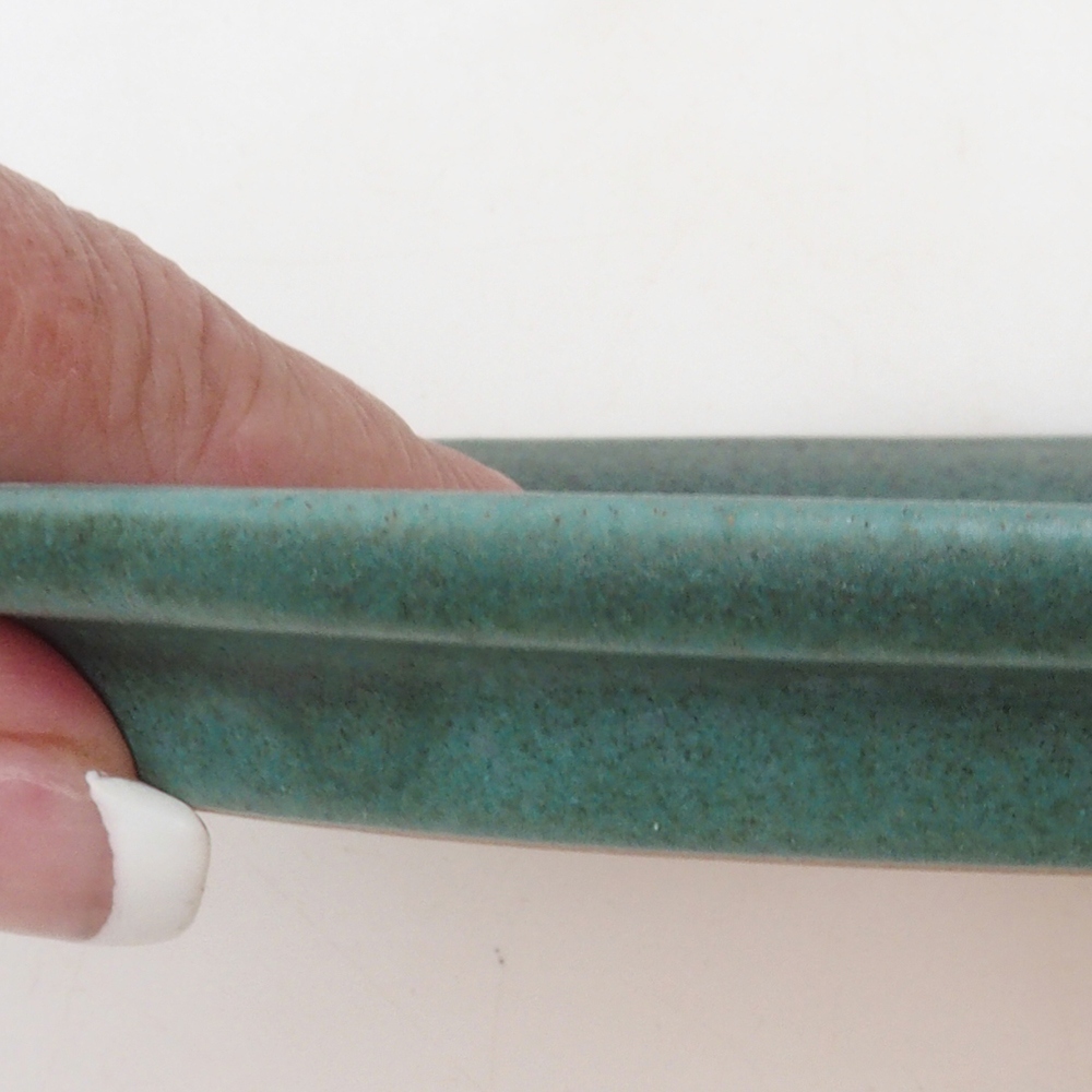 Platillo oval Bonsai S - 20 x 16,5 x 1,5 cm - verde