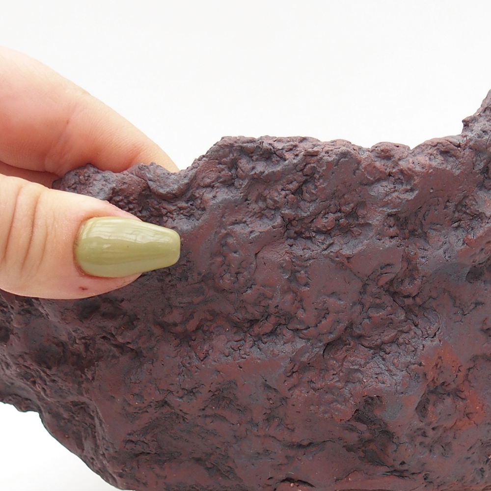 Concha de cerámica 19 x 17 x 15 cm , color marrón