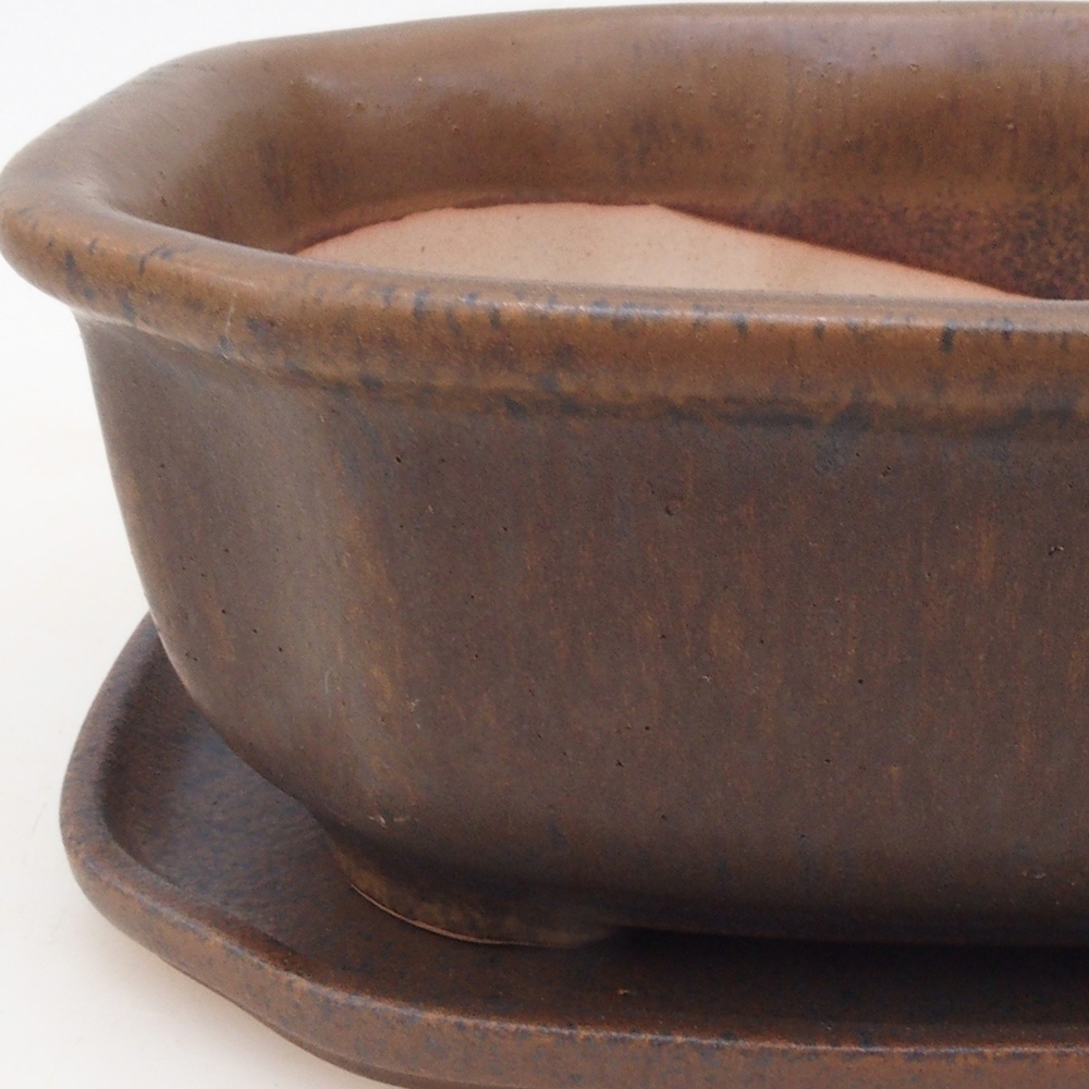 Bonsai cuenco + platillo H31 - marrón