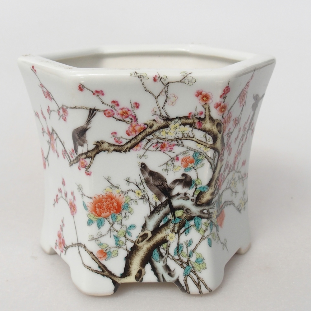 Cuenco bonsái de cerámica 10,5 x 9,5 x 9 cm, color blanco