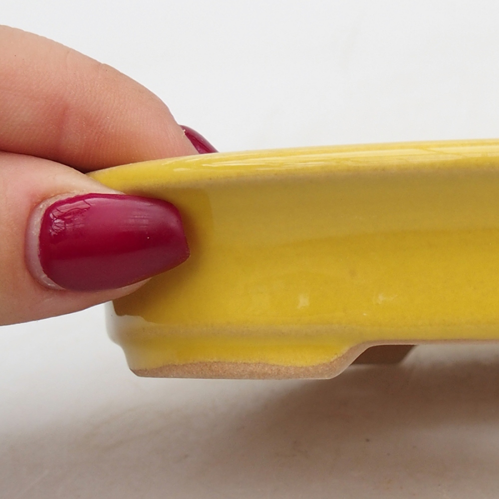 Cuenco bonsái de cerámica 13 x 11 x 2,5 cm, amarillo