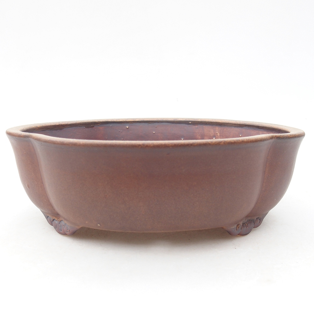 Cuenco bonsái de cerámica 17 x 15,5 x 5,5 cm, marrón