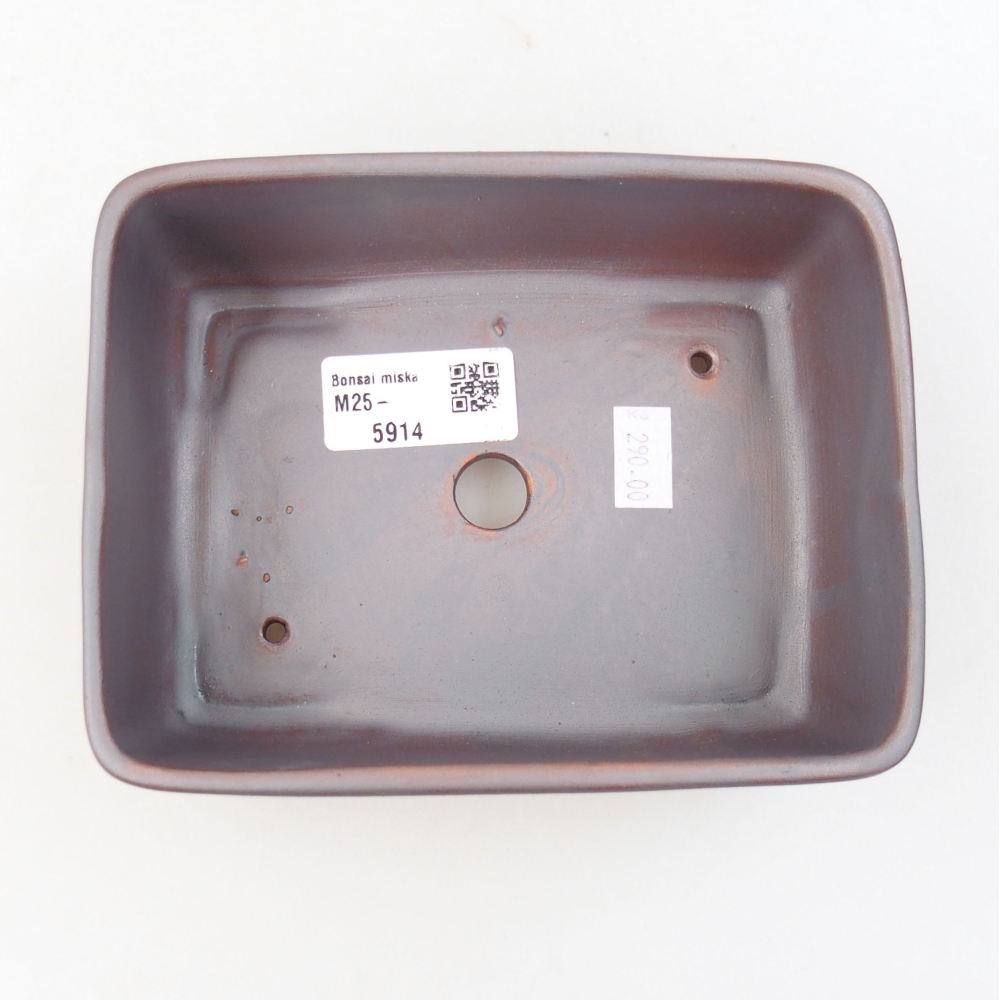 Cuenco bonsái de cerámica 22 x 17 x 5 cm, verde