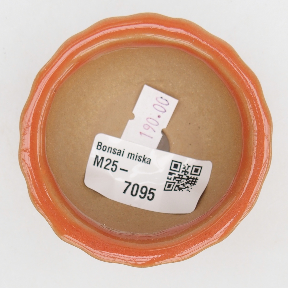 Cuenco bonsái de cerámica 7 x 8,5 x 3,5 cm, naranja