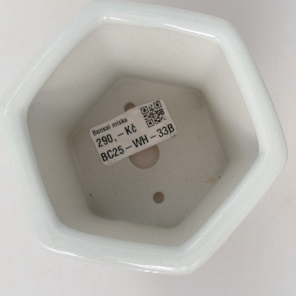 Cuenco bonsái de cerámica 10,5 x 9,5 x 9 cm, color blanco