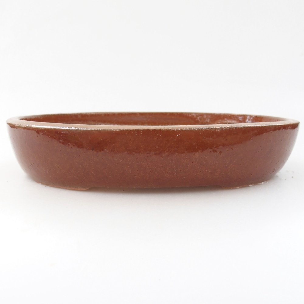 Cuenco bonsái de cerámica 22 x 16,5 x 4 cm, marrón
