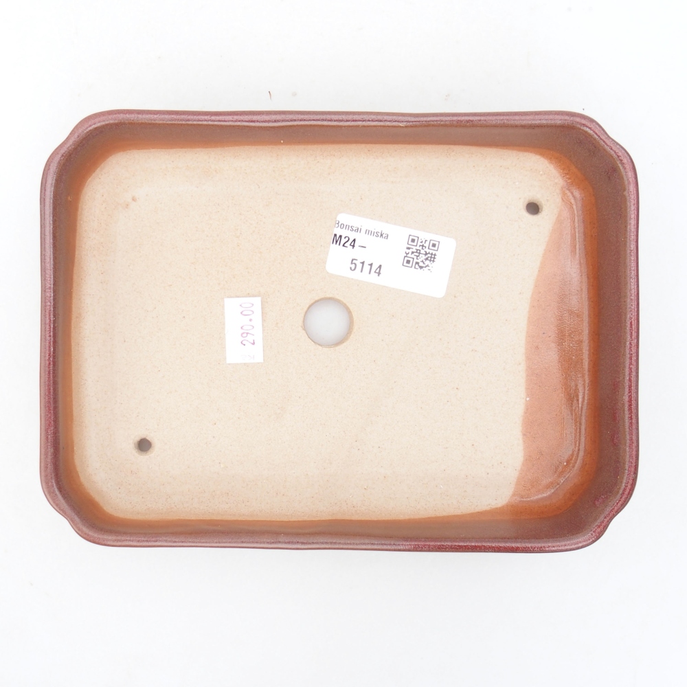 Cuenco bonsái de cerámica 18 x 13 x 3 cm, burdeos