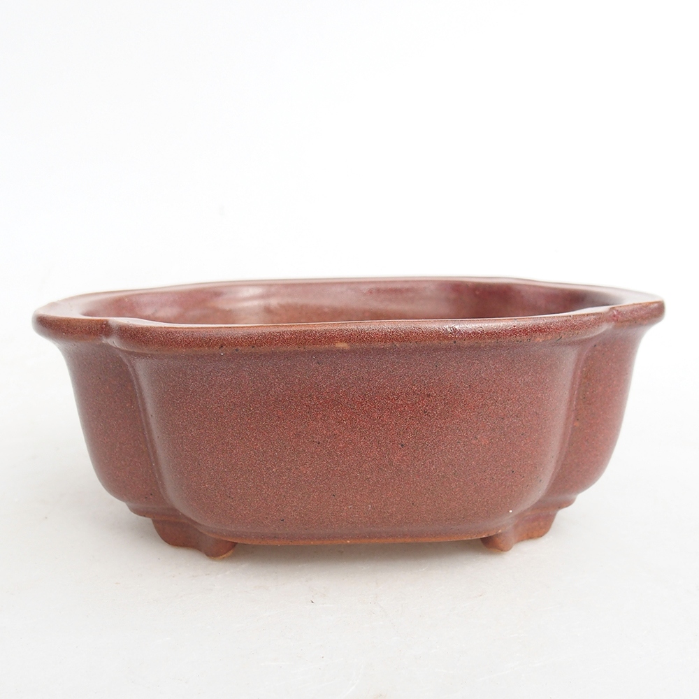 Cuenco bonsái de cerámica 13 x 10,5 x 5,5 cm, burdeos