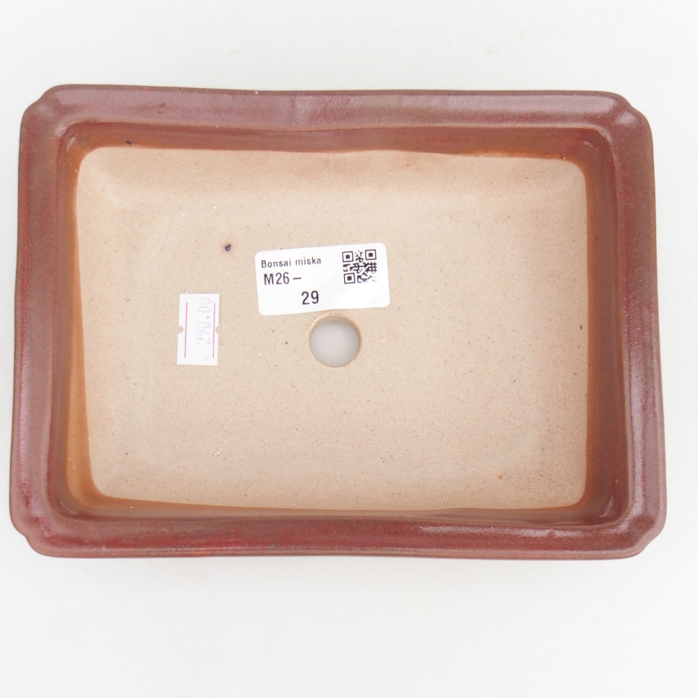 Cuenco bonsái de cerámica 18 x 13,5 x 4,5 cm, burdeos