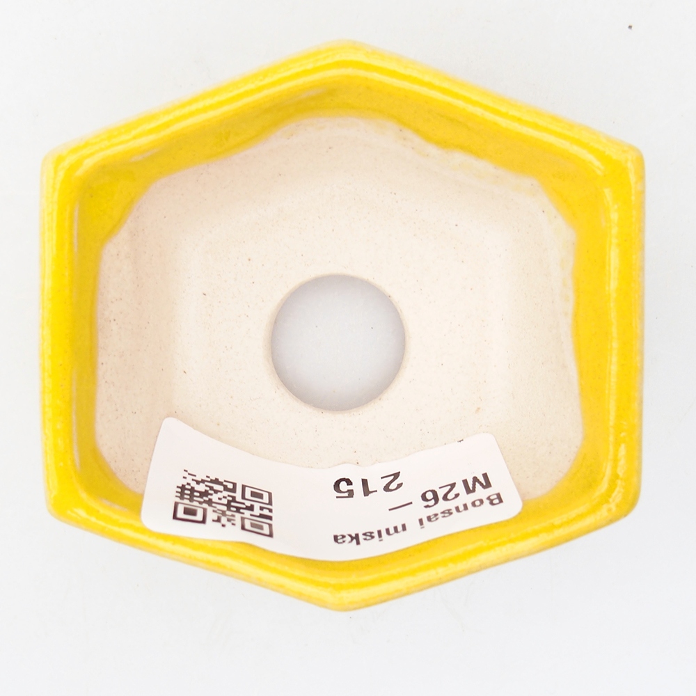 Cuenco mini bonsái 6 x 5,5 x 2,5 cm, amarillo