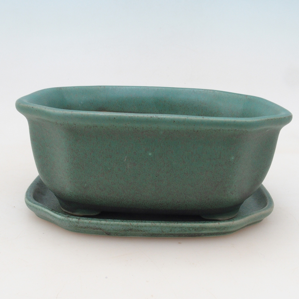Bonsai cuenco + platillo H31 - verde