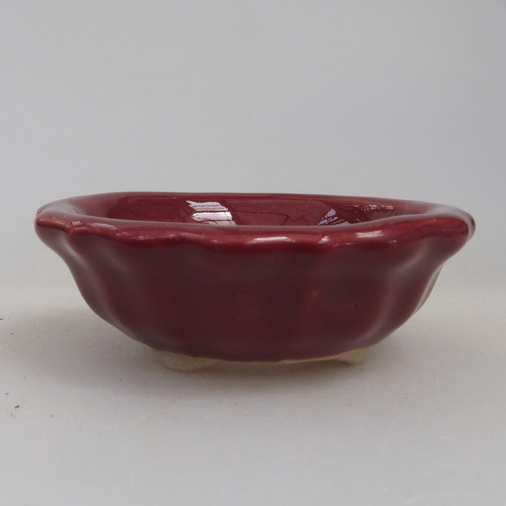 Mini cuenco bonsái 5 x 5 x 1,5 cm, color burdeos