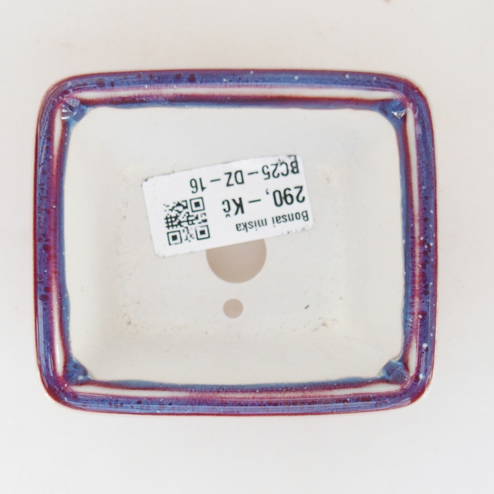 Mini cuenco bonsái 8,5 x 7,5 x 4 cm, color morado