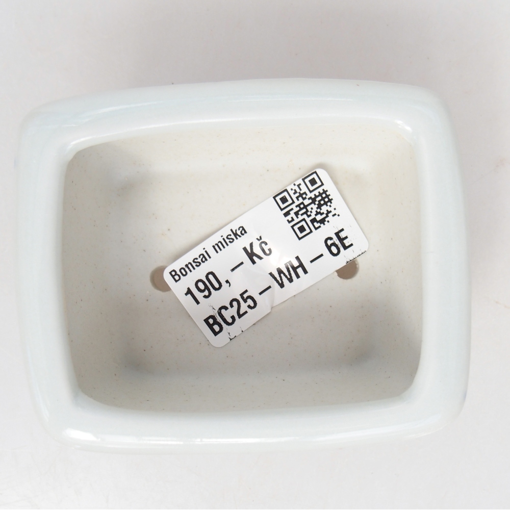 Cuenco mini bonsái 8 x 6,5 x 3,5 cm, blanco