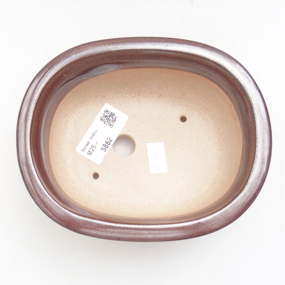 Cuenco bonsái de cerámica 22 x 17 x 5 cm, verde