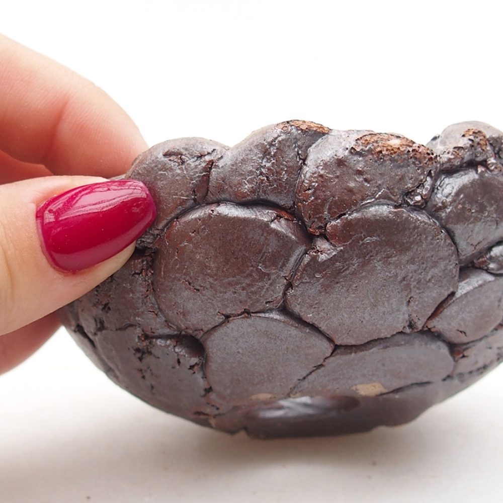 Concha de cerámica 9 x 9 x 4 cm , color marrón