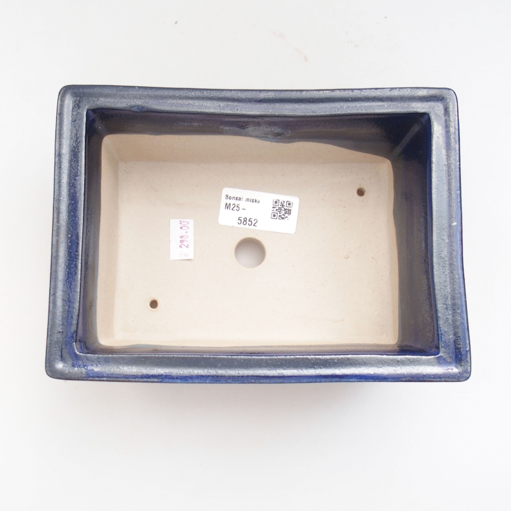 Cuenco bonsái de cerámica 22 x 17 x 5 cm, verde