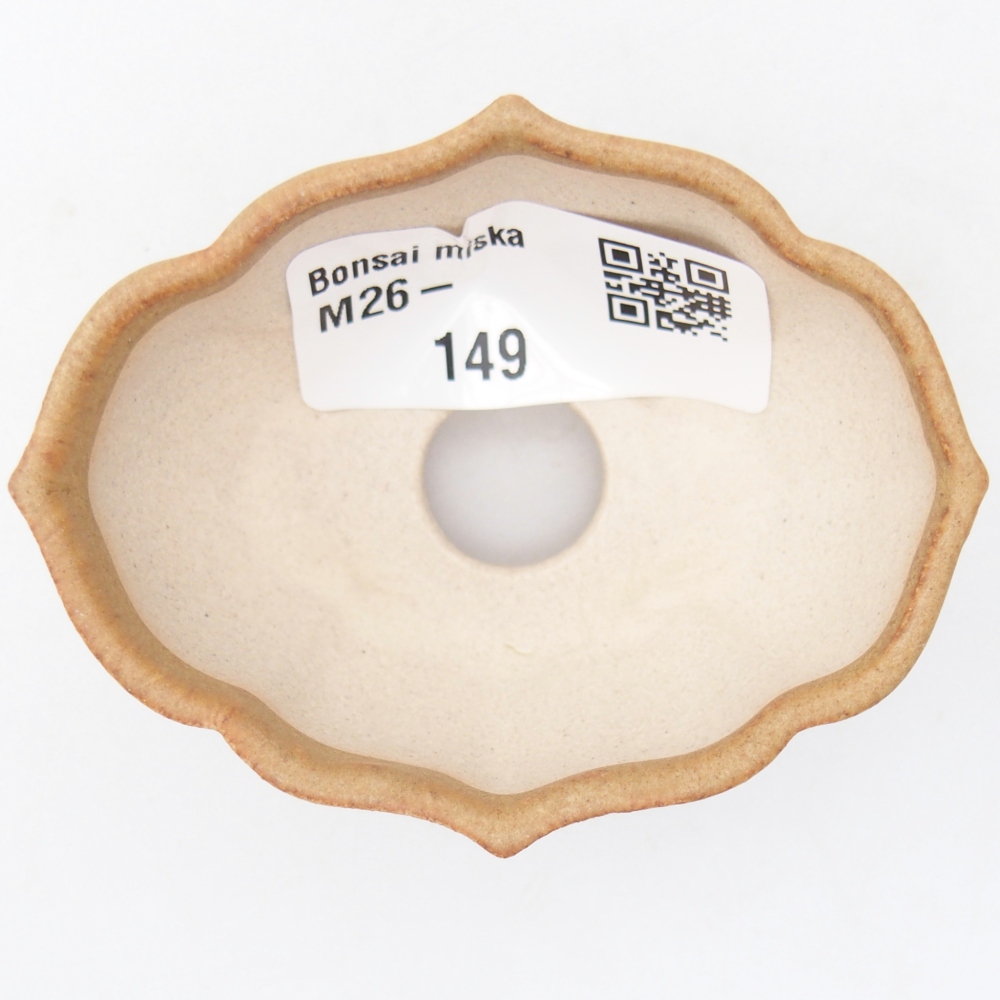 Mini cuenco bonsái 7 x 5 x 3 cm, marrón