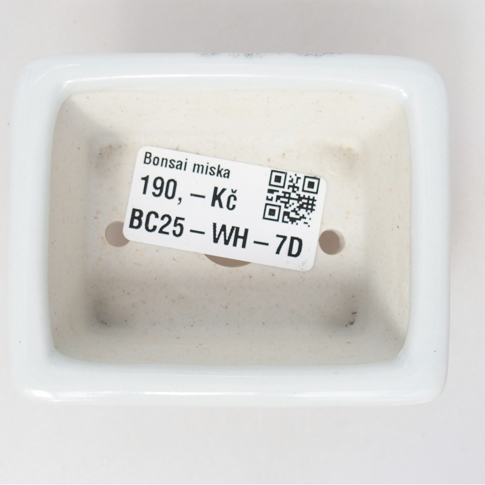 Mini cuenco bonsái 8 x 6 x 3 cm, blanco