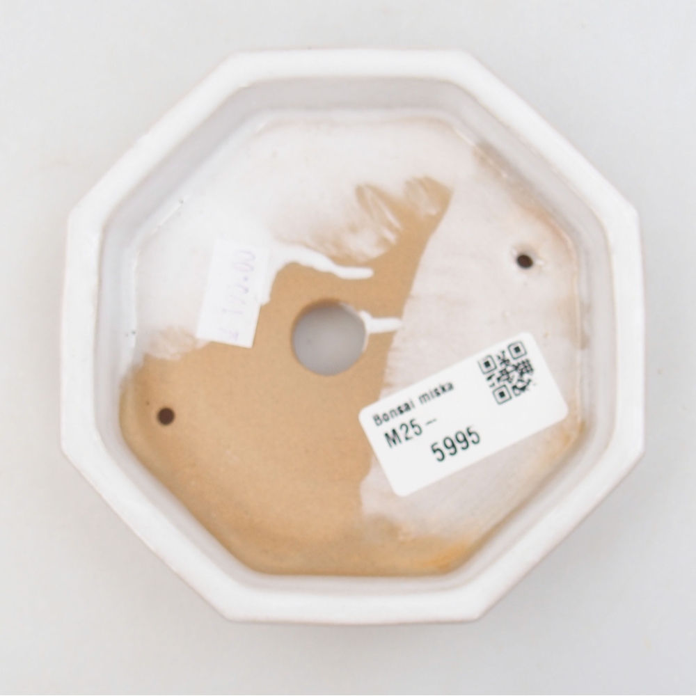 Cuenco bonsái de cerámica 22 x 17 x 5 cm, verde