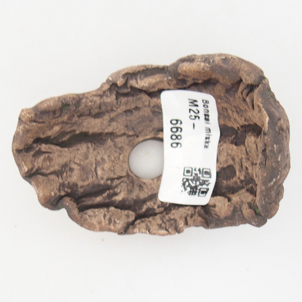 Concha de cerámica 8 x 5,5 x 7 cm , color verde