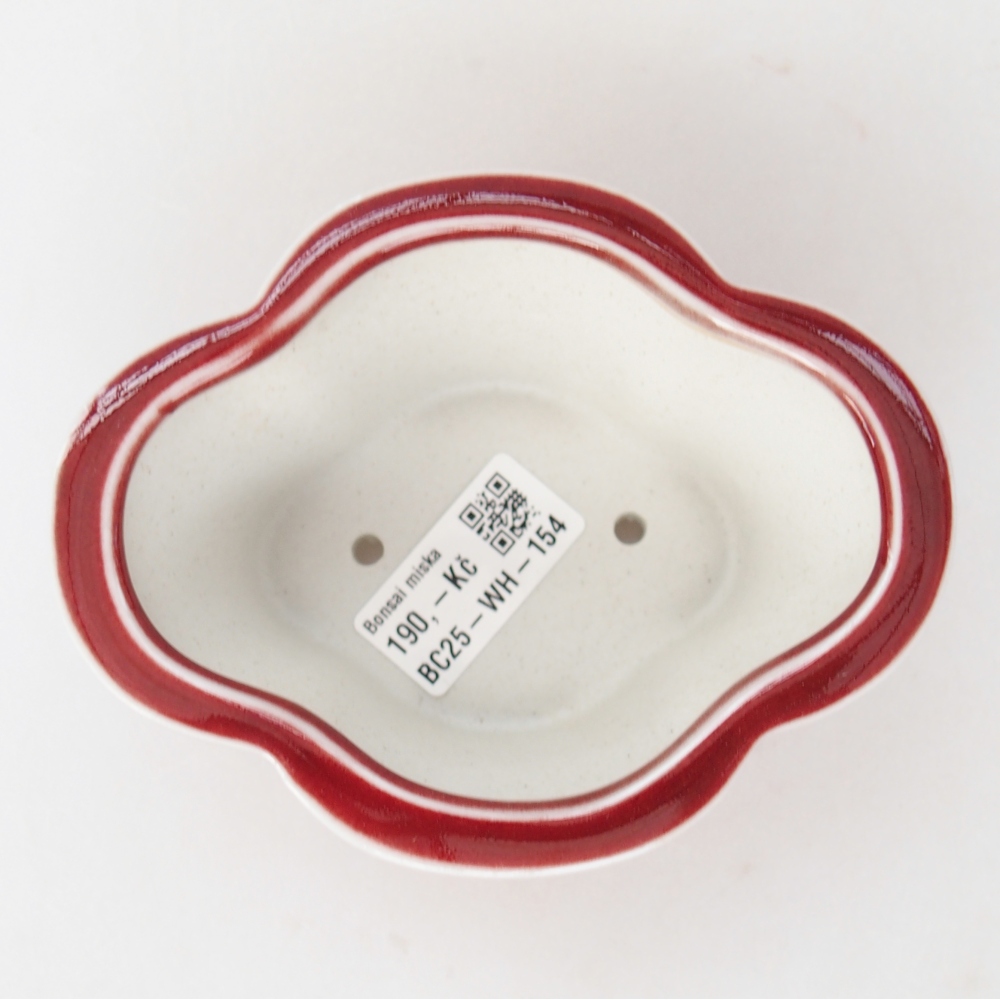 Cuenco bonsái de cerámica 12,5 x 10 x 5,5 cm, color rojo