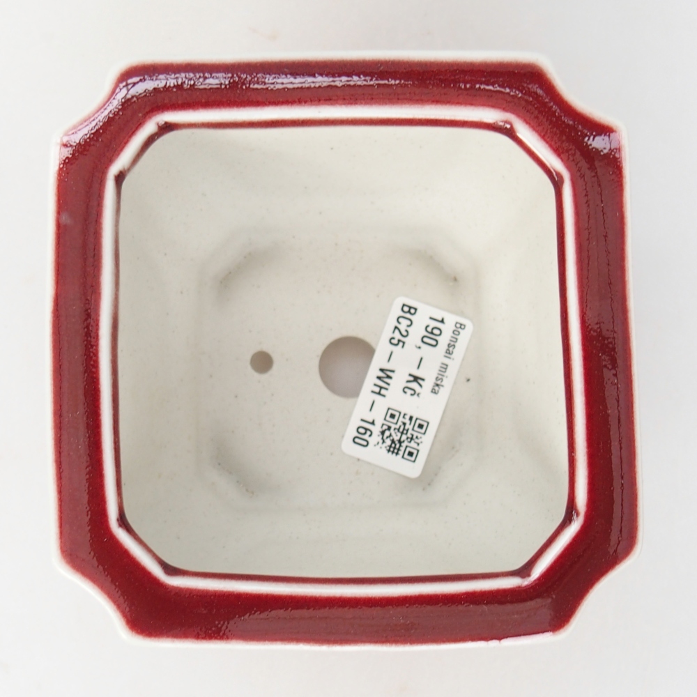 Cuenco bonsái de cerámica 11 x 11 x 7 cm, color rojo