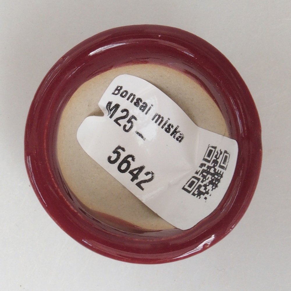 Cuenco mini bonsái 4 x 4 x 2 cm, burdeos