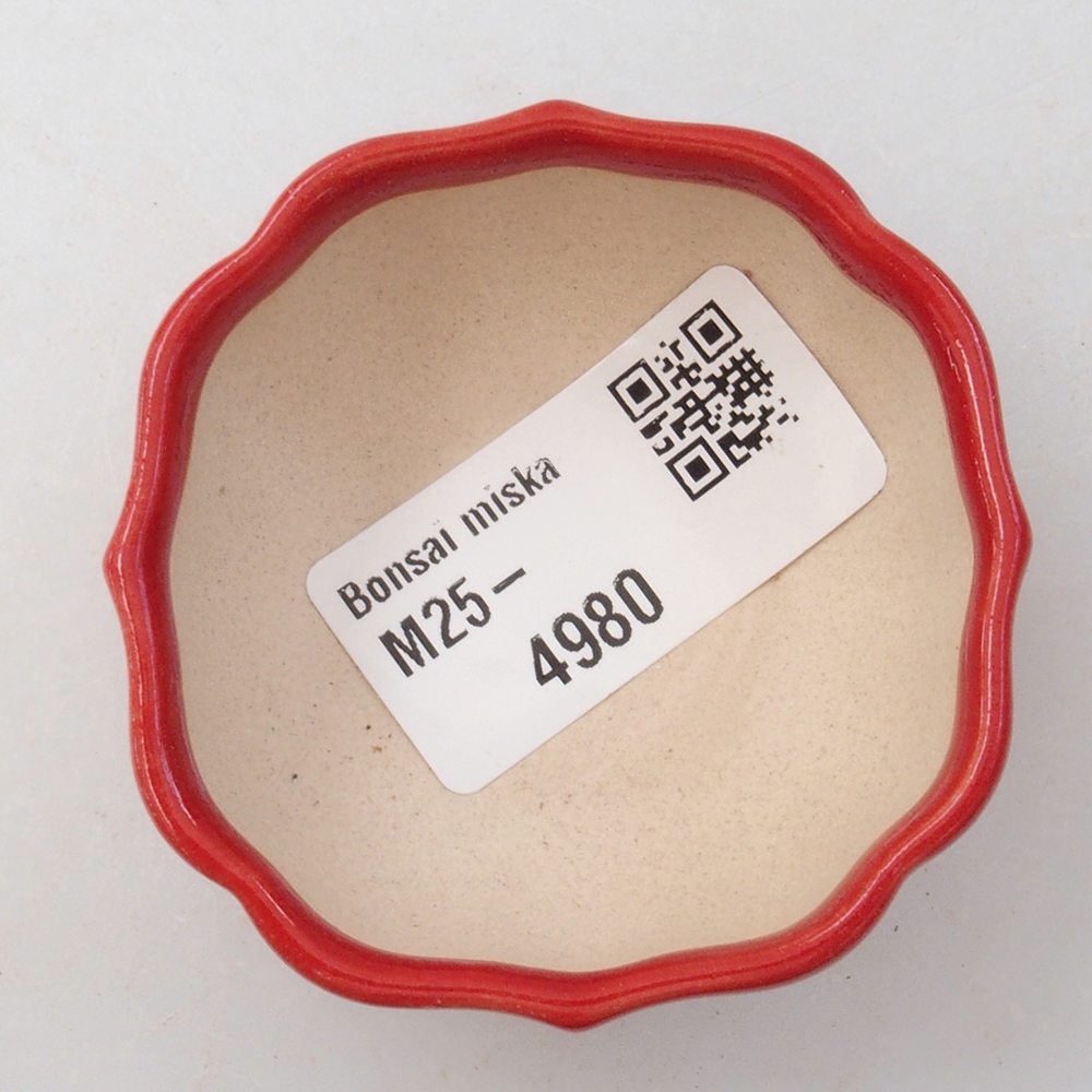 Cuenco mini bonsái 6 x 5,5 x 2,5 cm, color rojo