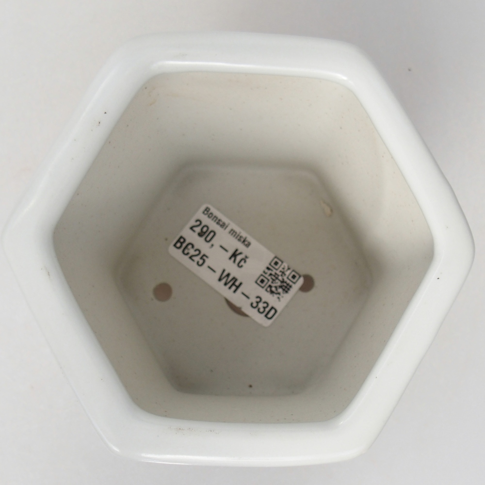 Cuenco bonsái de cerámica 10,5 x 9,5 x 9 cm, color blanco