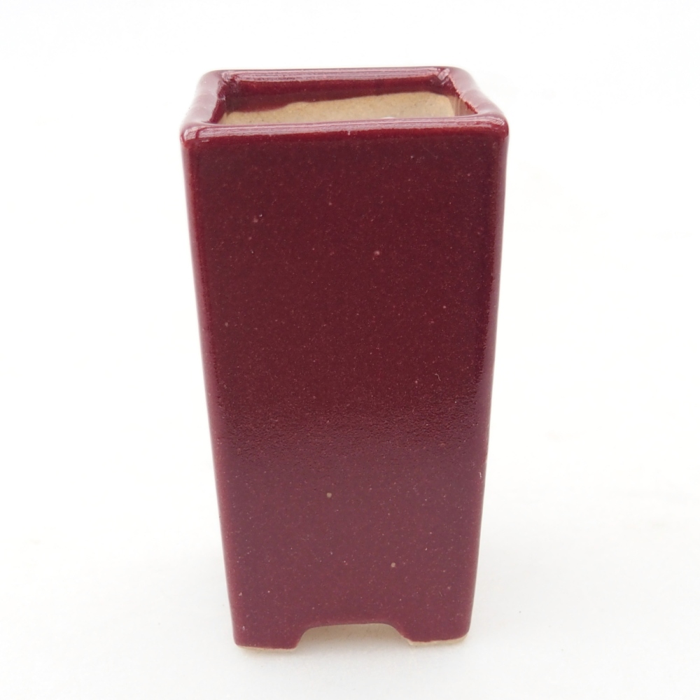 Mini cuenco bonsái 3 x 3 x 5,5 cm, burdeos