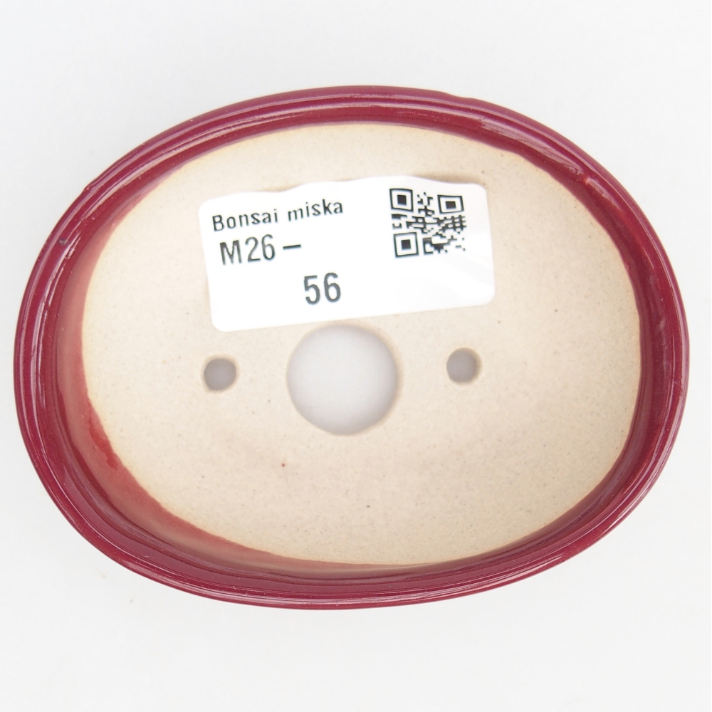Mini cuenco bonsái 8 x 6 x 2,5 cm, burdeos