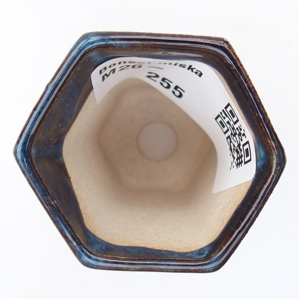 Mini cuenco bonsái 4 x 3,5 x 5,5 cm, color azul