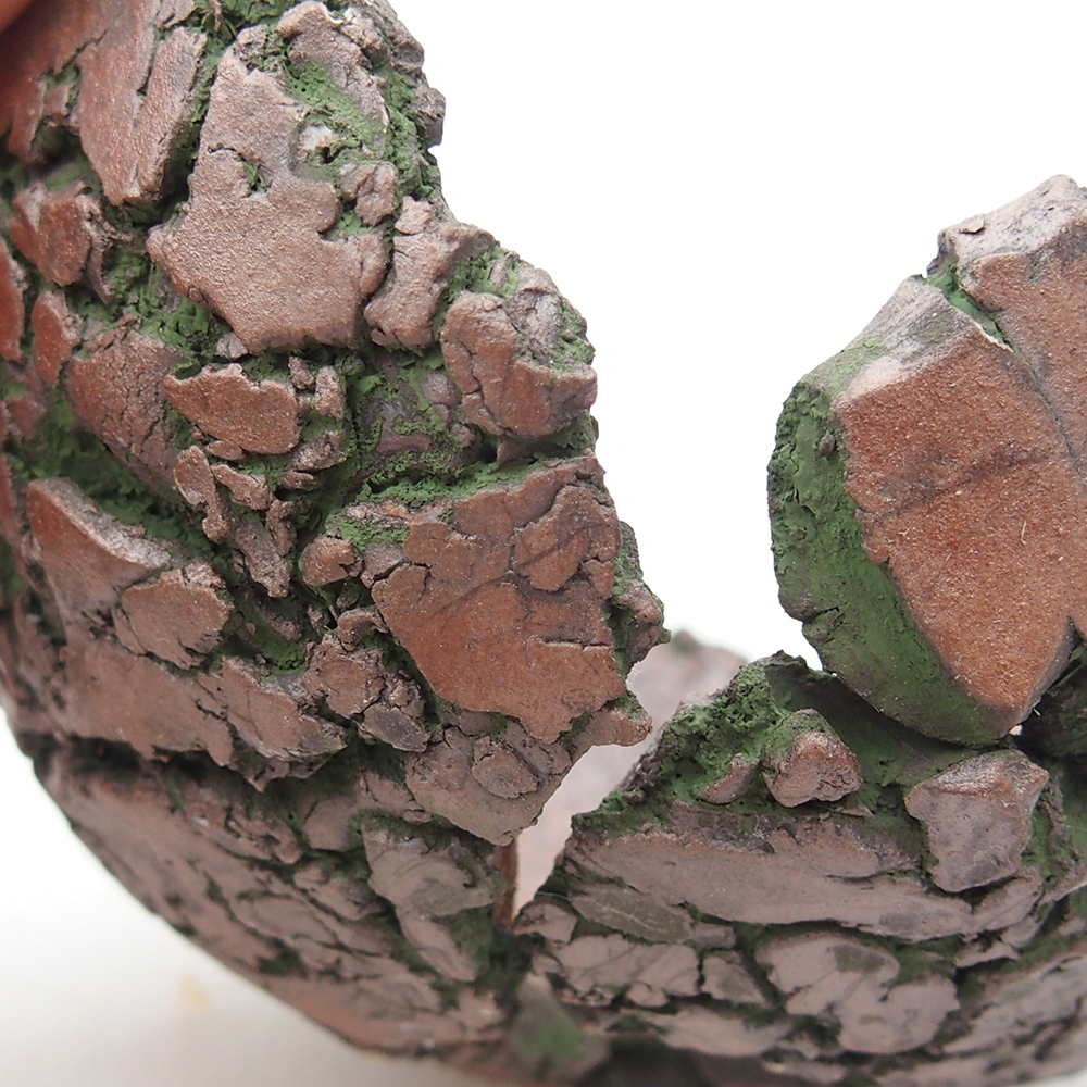 Concha de cerámica 9 x 9,5 x 5,5 cm , color verde